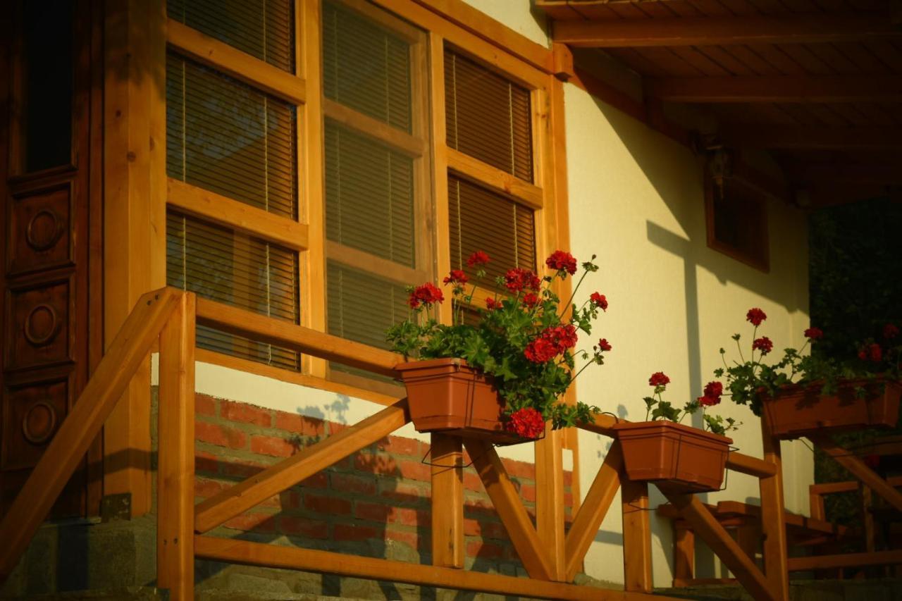 奥赫里德Sunset House公寓 外观 照片