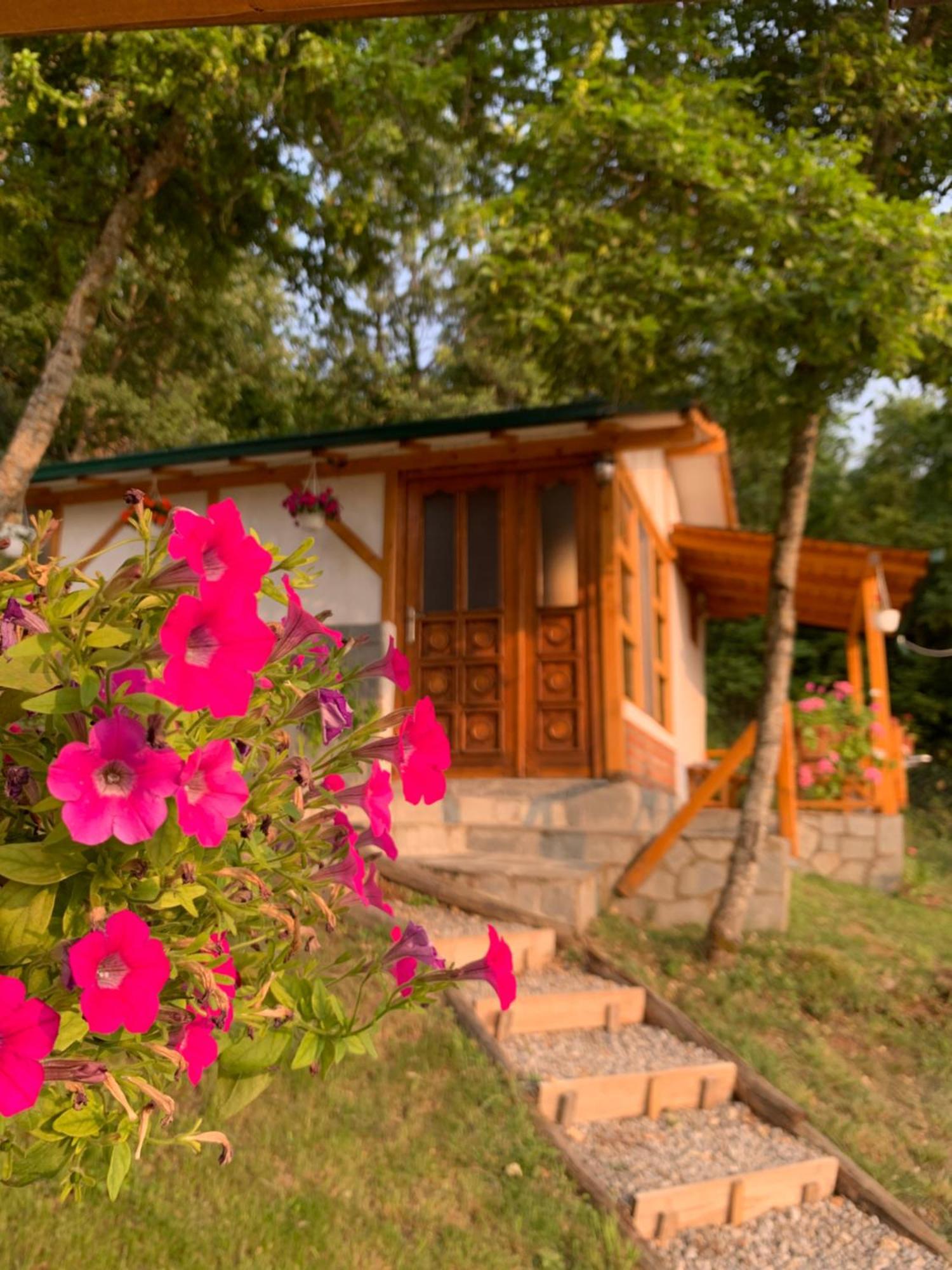 奥赫里德Sunset House公寓 外观 照片